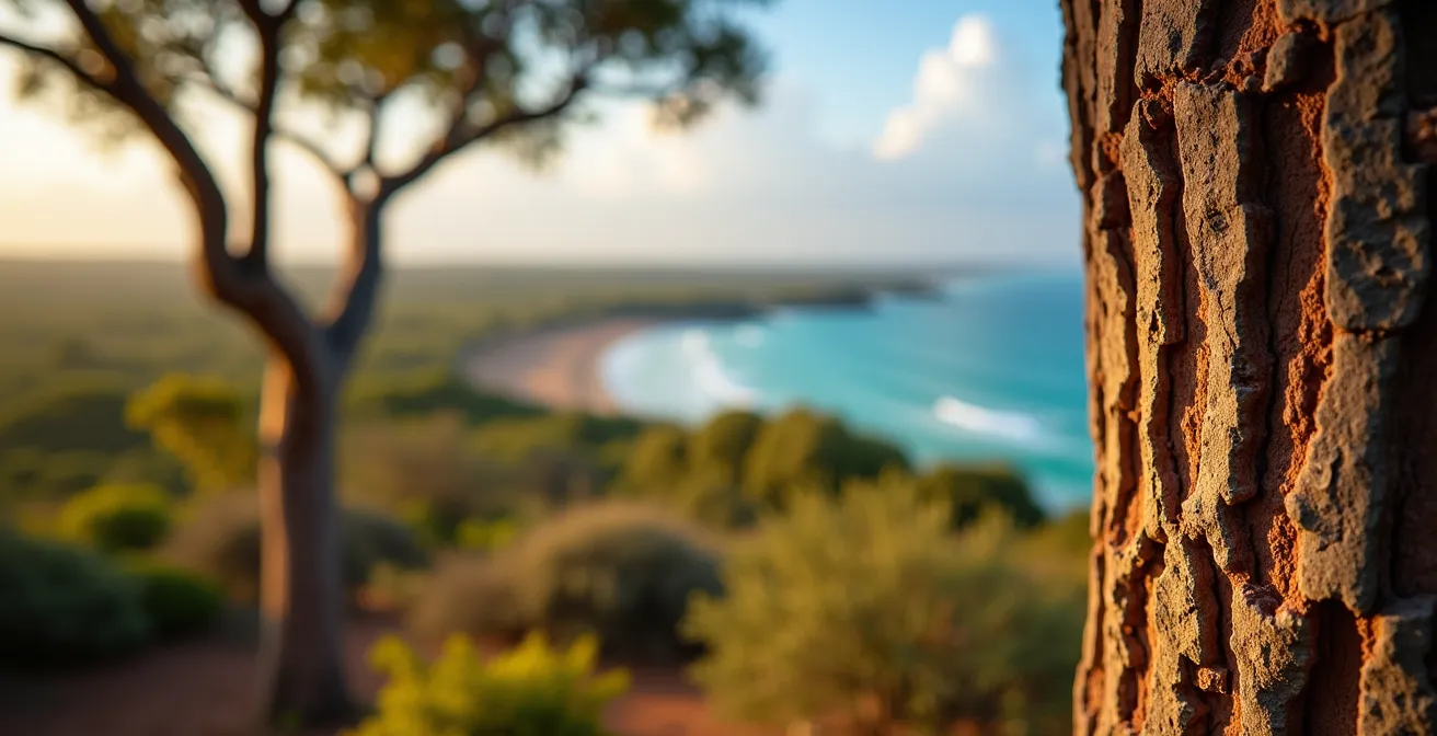 Vue panoramique depuis l'aire du Tabac sur la savane de l'ouest et le lagon de La Réunion